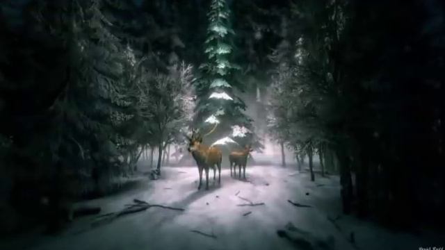 Существо, страйк и три аборта \ Инна Судакова \ Inna Sudakova \ обзор смотреть онлайн