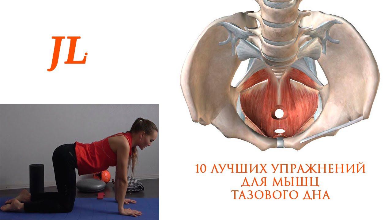 10 ЛУЧШИХ УПРАЖНЕНИЙ ДЛЯ МЫШЦ ТАЗОВОГО ДНА смотреть онлайн