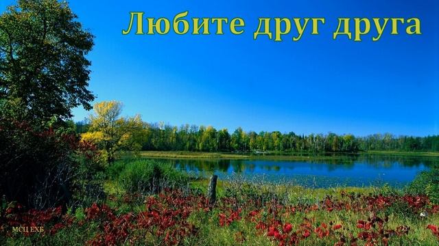 "Любите друг друга". С. Ф. Герасименко. МСЦ ЕХБ смотреть онлайн
