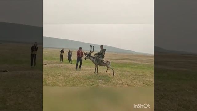 Эвены. Ассоциация кмнс Улахан-Чистайского наслега Момского района Якутии смотреть онлайн