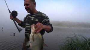 Ловля леща на сало. Рыбалка с ночёвкой. Пробуем половить ночью.