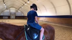 Катание на лошадях с детьми