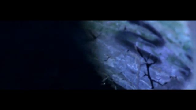 Koha NS - Тайный город