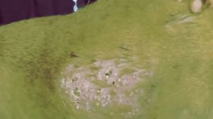 ГЕЛЬМИНТЫ, ПАРАЗИТЫ, ГЛИСТЫ, это ВСЁ, что живёт в ЧЕЛОВЕКЕ. Будь осведомлён!