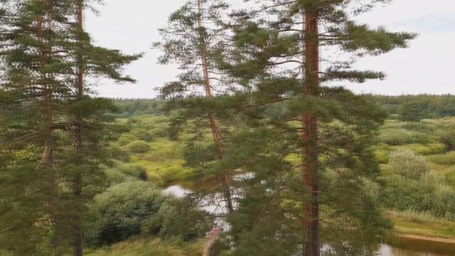 #3 Шлина Снова в пути смотреть онлайн