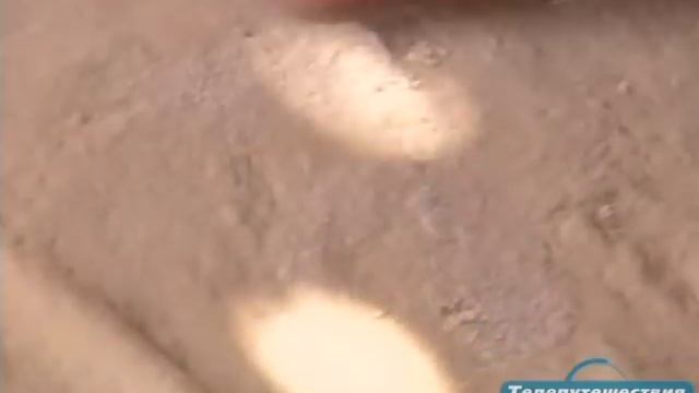 Бизнес-Советы и Инструкции