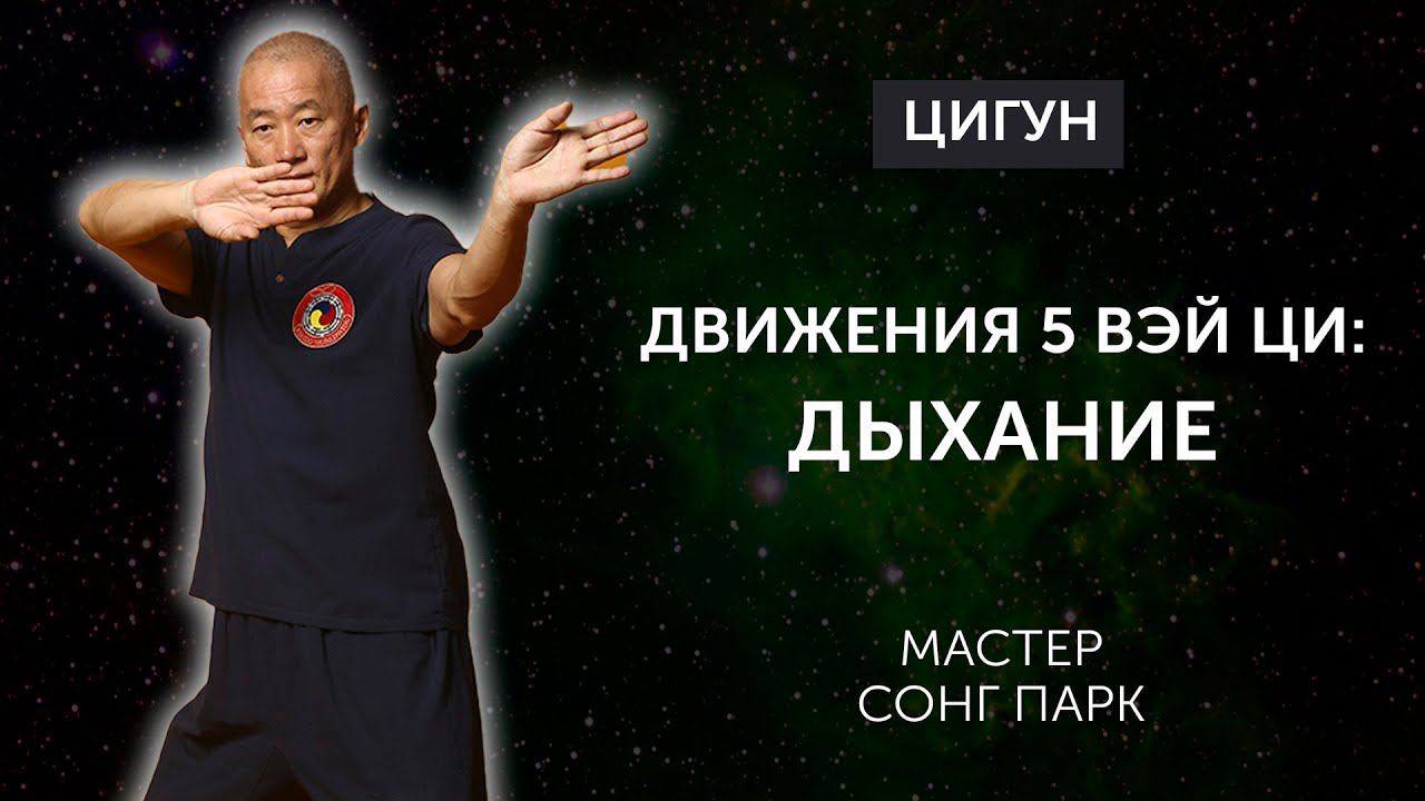 Движения для дыхания 5 Вэй Ци | Гранд Мастер Сонг Парк | Академия Киайдо смотреть онлайн