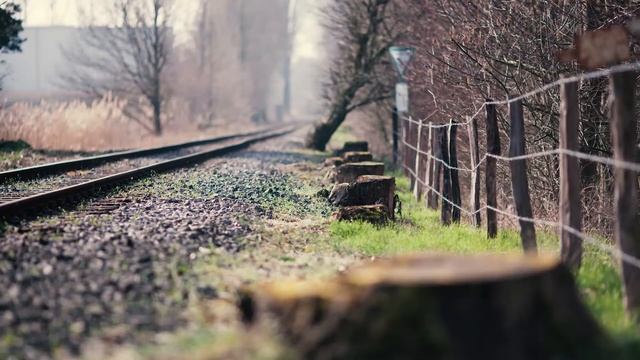 Принцип построения композиции: Правило ритма смотреть онлайн