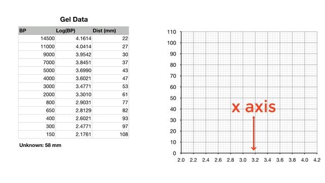 How to calculate the size of a DNA band on a gel? смотреть онлайн