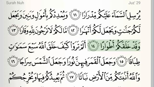 Surah - 71 - An-Nuh - Accurate Tajweed recitation of Quran - Mahmoud Khaleel Al-Hussary смотреть онлайн