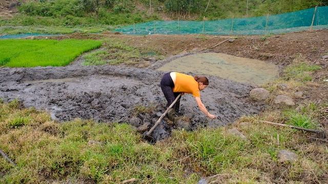 Building a new life episode 26 | Plowing the land to cultivate wet rice on my big farm | Farm life смотреть онлайн