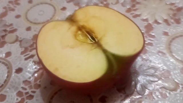 Предметная съёмка на телефон. смотреть онлайн