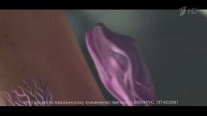 Реклама Венарус   Ящерица