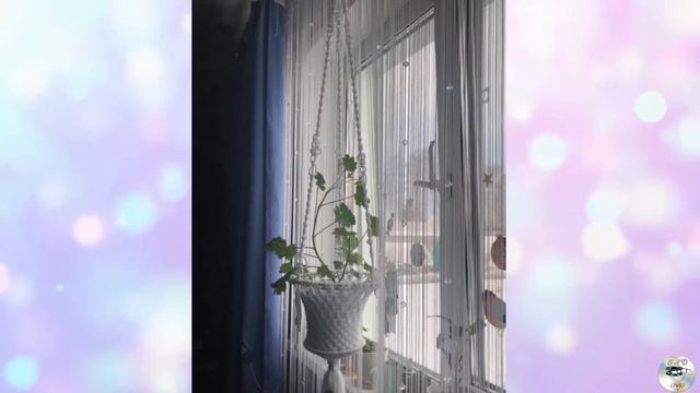 Презентация по макраме. Хирина Н.А. #КультураСорокино #Сорокинскийрайон смотреть онлайн