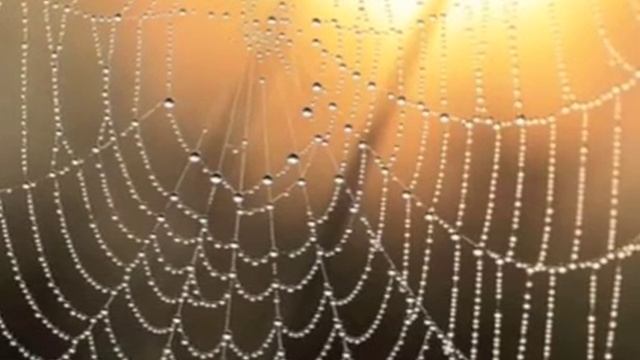 Весенняя гроза смотреть онлайн