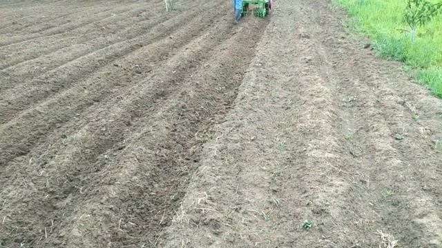 Ежи к МБ для прополки. смотреть онлайн
