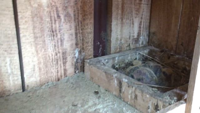 Как часто надо обновлять маточник? смотреть онлайн