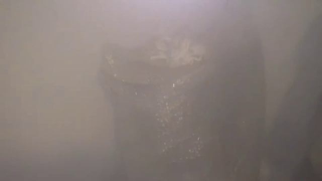 Грибы вешенка в подвале смотреть онлайн