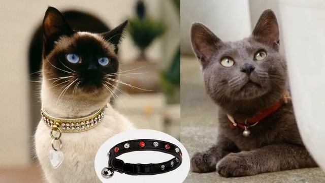 hartz ошейник от блох смотреть онлайн