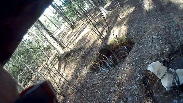 Сплав по реке Туй омской области. 1 серия смотреть онлайн