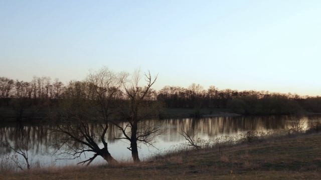Весна в Воронежской области | Апрель 2021 года | Природа средней полосы России в 4K смотреть онлайн