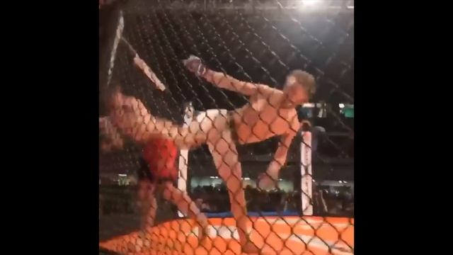 The Definitive Taekwondo For MMA Guide: Joe Rogan's Kicks In Real Fights