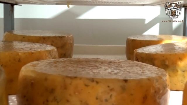 Сыр в домашних условиях смотреть онлайн