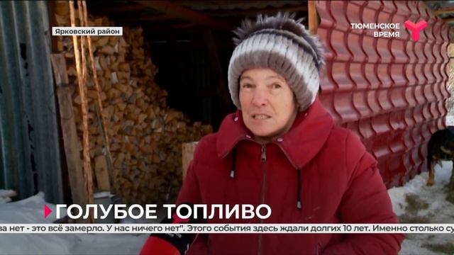 В Тюменской области в ближайшие два года газифицируют более 24 тысяч домовладений смотреть онлайн