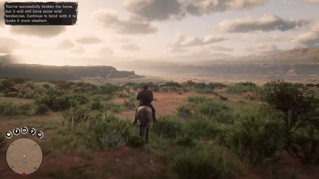 RDR 2 - Rare Horse Mustang Tiger Striped Bay Location #rdr2 #rockstar #ninjazgamingfun #gaming