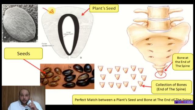 How shall God bring The Dead Back to Life in pictures Part 1 of 2 смотреть онлайн