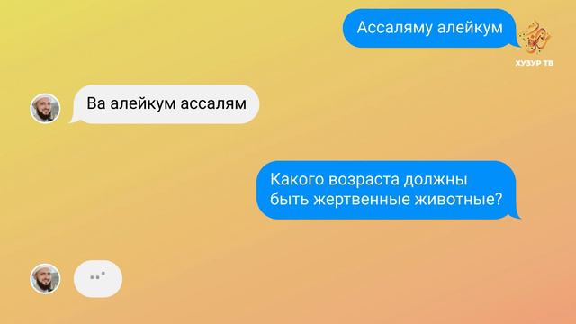 19 Имам онлайн (рус.) | Какого возраста должны быть жертвенные животные? смотреть онлайн