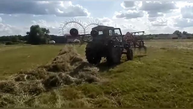 Трактор т-40ам.Сгребание сена граблями Лидер от "Палехагромаш". смотреть онлайн