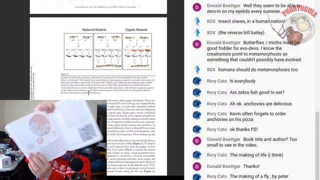EvoDevo Q&A смотреть онлайн
