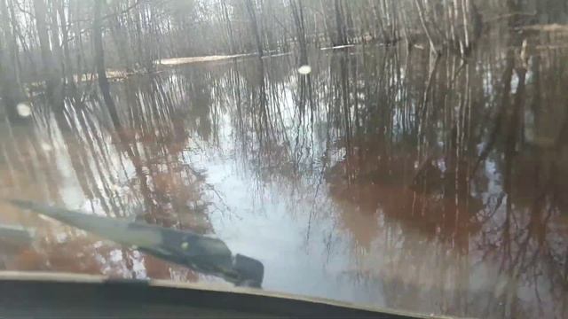 разлив 21год, река пра окский заповедник смотреть онлайн