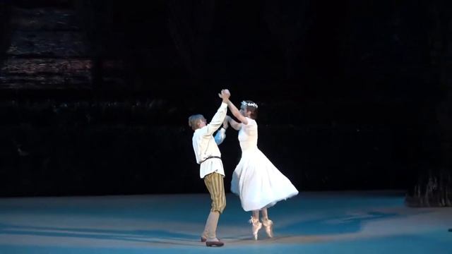 Artemy Belyakov In Bright Stream/Артемий Беляков в балете Светлый ручей