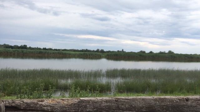 дом C участком 15 соток на берегу реки в низовье Волги