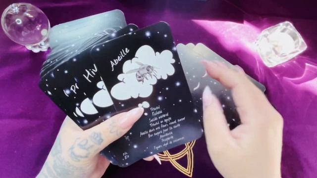 L’oracle des rêveurs???divination, développement personnel et interprétation des rêves?3 en 1? смотреть онлайн