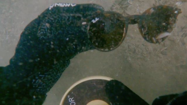 Found iPhone, Apple Watches and 32 pairs of sunglasses!!! (Treasure hunting w/ @ManPlusRiver ) смотреть онлайн