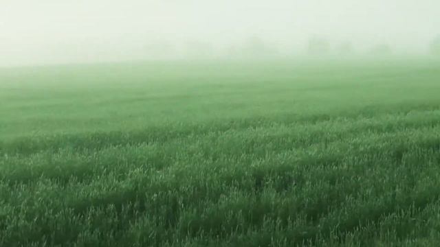 МАЛЕНЬКАЯ ИСТОРИЯ БОЛЬШОЙ ЛЮБВИ смотреть онлайн