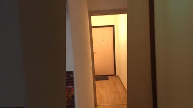 Аренда студии в Солнечном городе /жк Солнечный город/СПБ/ смотреть онлайн