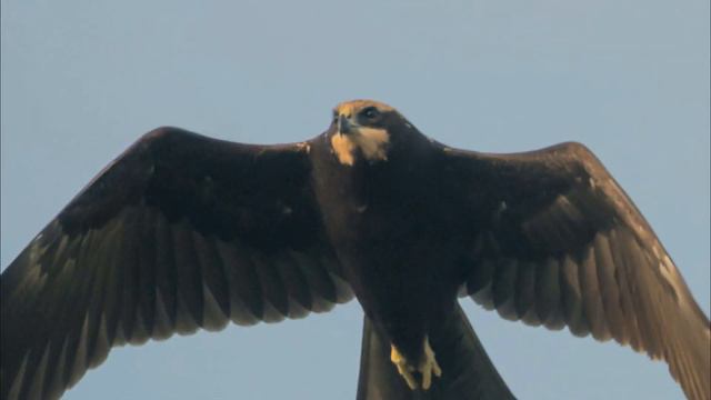 Фотоохота с Альбертом. Утро рядом с озером.