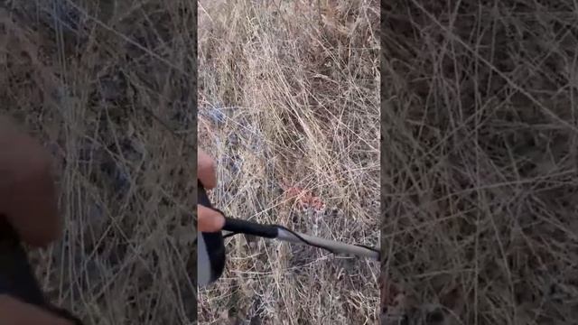 #5 первый весенний коп, обзор металоискателя  MD4030