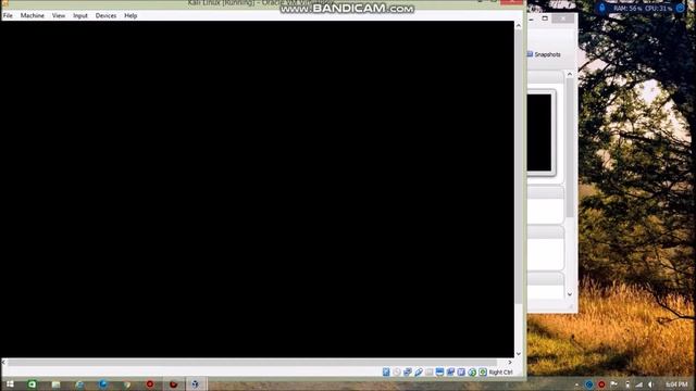 Installation of Kali Linux into Oracle VM VirtualBox смотреть онлайн