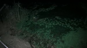 А порыбалимка 11/20г. Просто супер выходные!