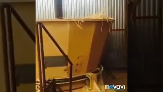 Линия гранулирования соломы смотреть онлайн