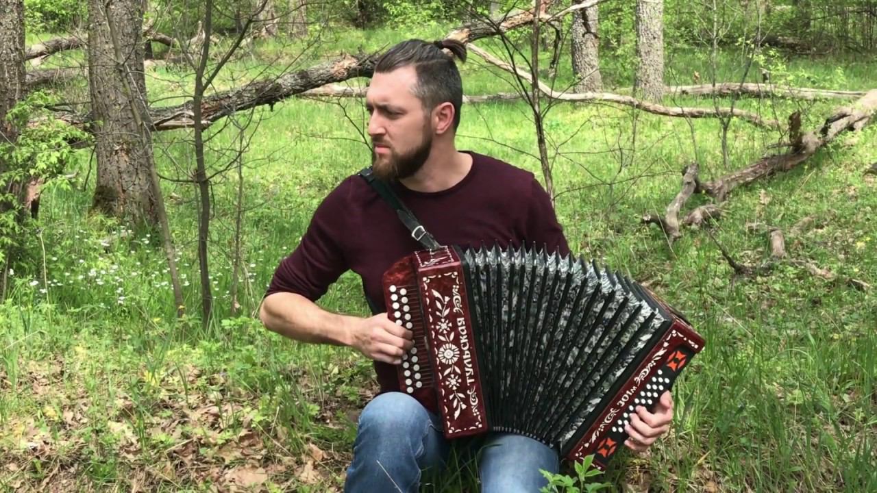 Что стоишь качаясь тонкая рябина... на гармони