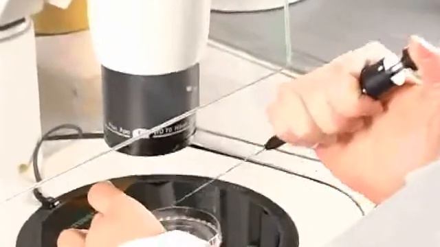 ЭКО смотреть онлайн