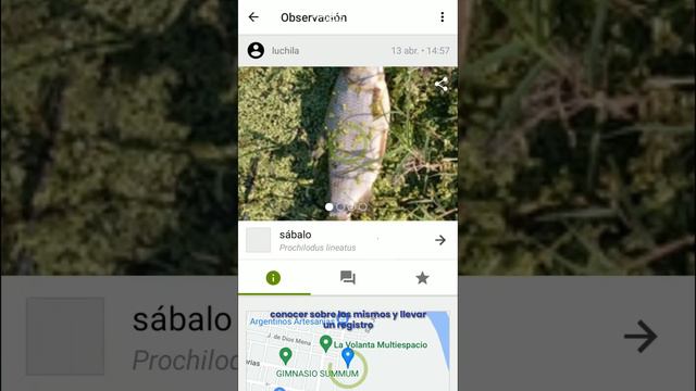 Argentinat: naturaleza a tu alcance - Acuario del Río Paraná смотреть онлайн