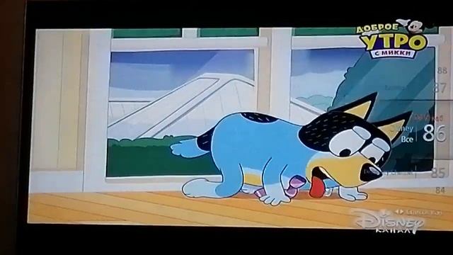 Обзор цифровых и кабельных каналов во время профилактики (14.07.2021) смотреть онлайн