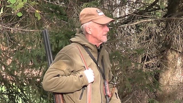 В осень с гончими. Эстонские гончие. Охота. смотреть онлайн